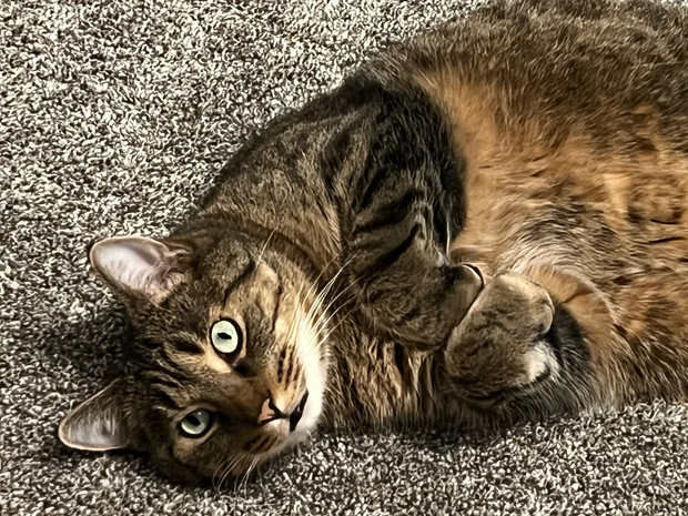 Banner image for: <h2>Don't worry Mort.</h2>